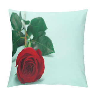 Personality  Close-up View Of Beautiful Red Rose Flower With Green Leaves On Blue Pillow Covers
