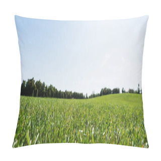 Personality  Panoramic Shot Of Green Grass Near Trees Against Sky In Park  Pillow Covers