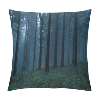 Personality  Gloomy And Dark Forest During A Foggy Morning With The Best Mystic Atmosphere In The East Of Bohemia. Pillow Covers
