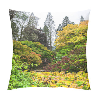 Personality  Colourful Autumn Landscape View At Benmore Botanic Garden, Loch Lomond And The Trossachs National Park, Scotland Pillow Covers