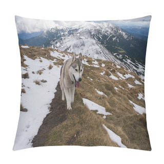 Personality  Husky Dog In Snowy Mountains   Pillow Covers
