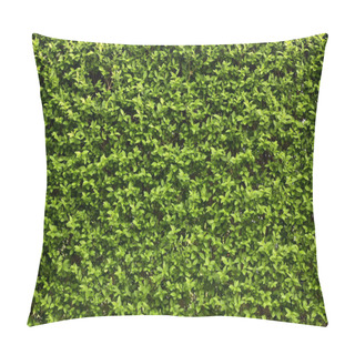 Personality  Green Leaves Pillow Covers