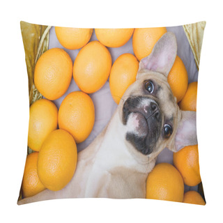 Personality  Bulldog Dog Lying Among The Oranges And Pensively Looking In The Row. Orange Oranges Lie Around The Dog's Body Creating A Mood. Pillow Covers