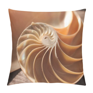 Personality  Shell Nautilus Pearl Fibonacci Sequence Symmetry Cross Section Spiral Shell Structure Golden Ratio Background Nature Pattern Mollusk Shell (nautilus Pompilius) Copy Space Half Split Stock Photo  Pillow Covers