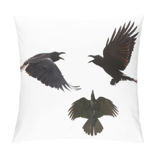 Personality  Black Birds Crow Flying Mid Air Show Detail In Under Wing Feathe Pillow Covers