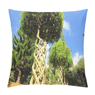 Personality  Trees With Branches Intertwined As Helix In Garden Pillow Covers