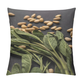 Personality  Close Up View Of Green Sage And Pine Nuts On Black Background Pillow Covers