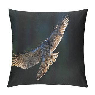 Personality  Goshawk Flying, Bird Of Prey With Open Wings With Evening Sun Back Light, Nature Forest Habitat, Czech Republic. Wildlife Scene From Autumn Nature. Bird Fly Landing Pn Tree Trunk In Orange Vegetation. Pillow Covers