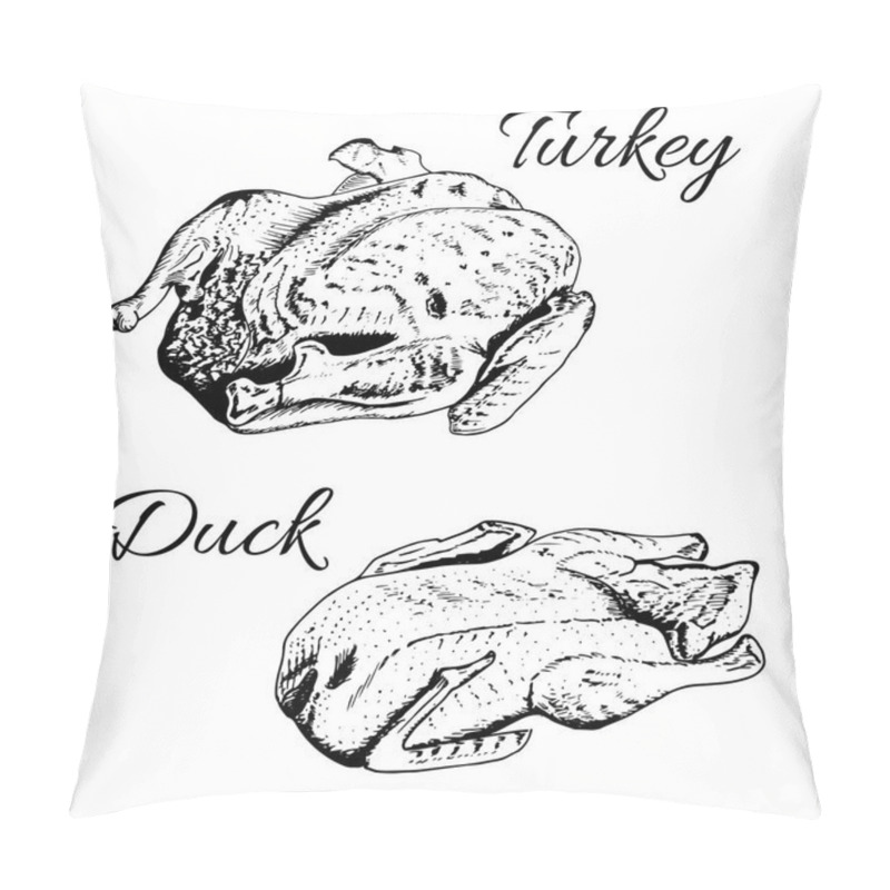 Personality  Sketch of turkey and duck. pillow covers