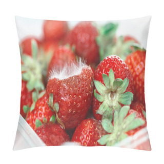 Personality  Closeup Macro Shot Image Of Rotten Strawberry With White Large Mold Placed In Plastic Box Container. Pillow Covers