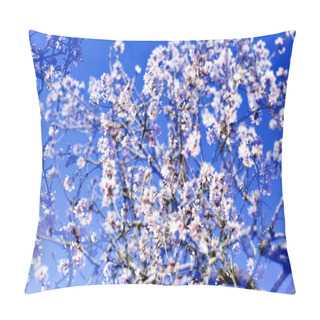 Personality  Multiple Exposure Of Almond Trees In Full Bloom Pillow Covers