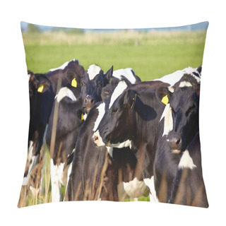 Personality  Young Cattle With Ear Tags On Green Pasture Pillow Covers