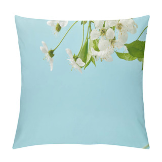Personality  Close-up Shot Of White Cherry Flowers Isolated On Blue Pillow Covers