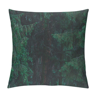 Personality  Full Frame Shot Of Dramatic Pine Forest Pillow Covers