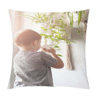 Personality  The Child Takes Care Of The Home Plant. A Boy Sprays Plants In Vases.  The Child Takes Care Of Plants At Home, Spraying The Plant With Clean Water From A Spray Gun Pillow Covers