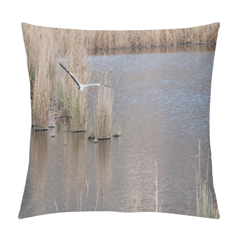 Personality  heron in oasi di porta lake in tuscany pillow covers