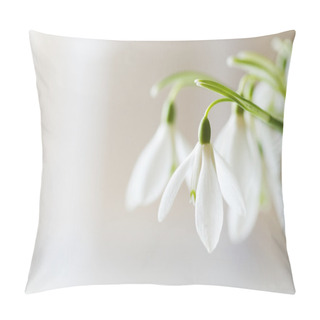 Personality  Snowdrops Pillow Covers
