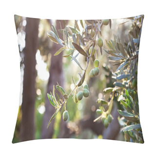 Personality  Mediterranean Gold; Olives On It’s Tree Branch Pillow Covers