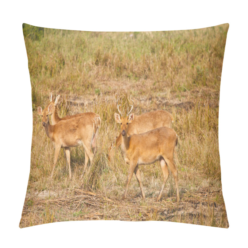 Personality  Swamp Deer Pillow Covers