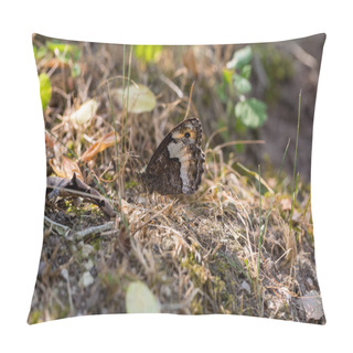 Personality  Detail Of Hipparchia Semele Resting On A Background Of Pine Needles In The Wood. High Quality Photo Pillow Covers