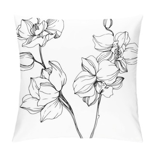 Personality  Beautiful Black And White Orchid Flowers Engraved Ink Art. Isolated Orchids Illustration Element On White Background. Pillow Covers