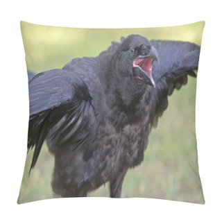 Personality  Raven Close-up Portrait In Natural Habitat   Pillow Covers