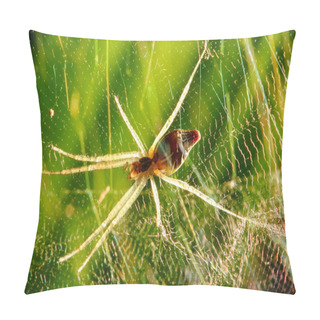Personality  Spider On Web Pillow Covers