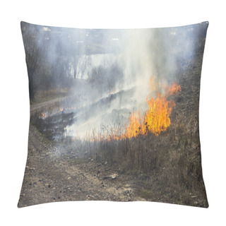 Personality  Burning Dry Grass In Early Spring. Background. Pillow Covers
