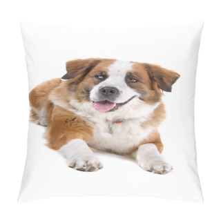Personality  Mixed Breed Saint Bernard Dog Pillow Covers