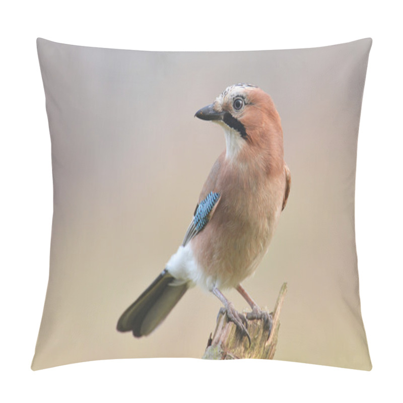 Personality  Jay Bird On Branch Pillow Covers
