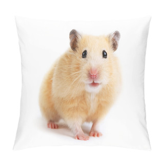 Personality  Hamster Isolated Pillow Covers