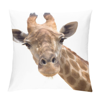 Personality  Giraffe Closeup Pillow Covers