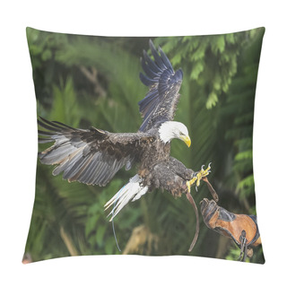 Personality  Birds In Flight Pillow Covers