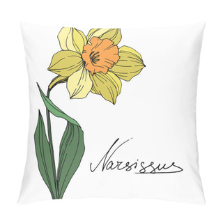 Personality  Vector Yellow Narcissus Floral Botanical Flower. Wild Spring Leaf Wildflower Isolated. Engraved Ink Art. Isolated Narcissus Illustration Element On White Background. Pillow Covers