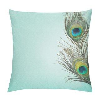 Personality  Vintage Background With Peacock Feathers Pillow Covers