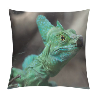 Personality  Green Plumed Basilisk Pillow Covers