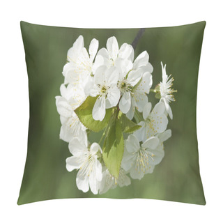 Personality  Cherry Tree Blossoming Pillow Covers