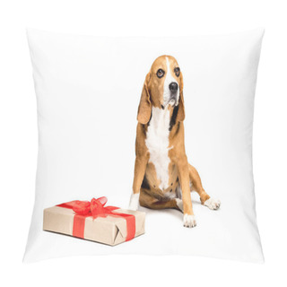 Personality  Dog With Present Box Pillow Covers