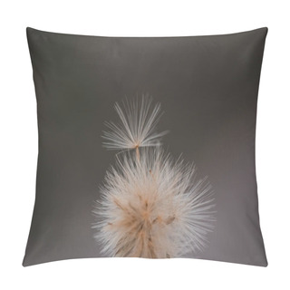 Personality  Grass Texture Abstract Patterns, Exploring The Essence Of Abstracted Grassland Pillow Covers
