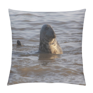 Personality  Atlantic Grey Seal Pillow Covers