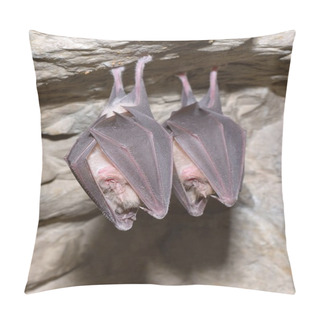 Personality  Greater Horseshoe Bat( Rhinolophus Ferrumequinum) Pillow Covers