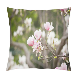 Personality  Blossoming Of Magnolia Flowers Pillow Covers