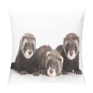Personality  Group Of Ferret Puppies Lying On A White Background. Baby Animal Theme Pillow Covers