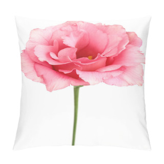 Personality  Beauty Eustoma Pillow Covers