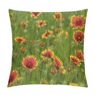 Personality  Texas Wildflowers Pillow Covers
