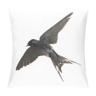 Personality  Barn Swallow, Hirundo Rustica, Lying Against White Background Pillow Covers