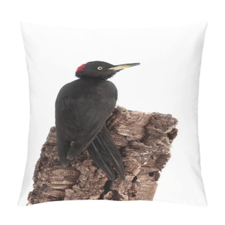 Personality  Black Woodpecker, Dryocopus Martius, On White Pillow Covers