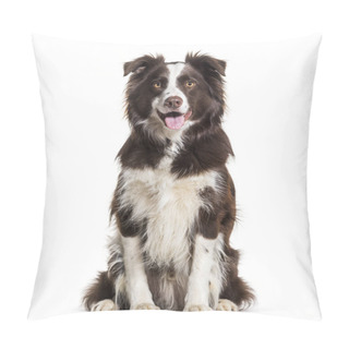 Personality  Border Collie Dog, 2 Years Old, Sitting Against White Background Pillow Covers