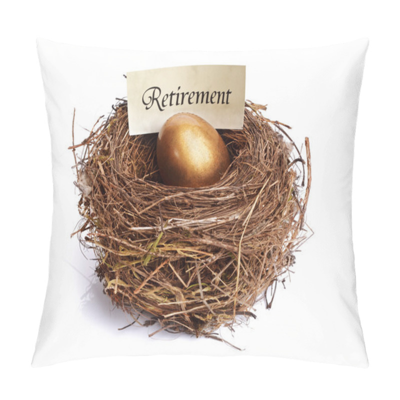 Personality  Retirement Savings Golden Nest Egg Pillow Covers