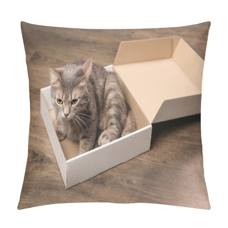 Personality  Funny Overweight Cat In Pizza Box On Wooden Floor Pillow Covers